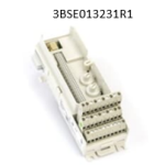 3BSE013231R1